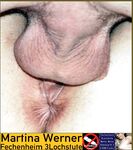 stark achselbehaarte Fechenheim 3Lochstute Martina Werner