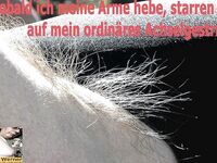 german hairy armpits mature martina werner and friends